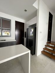 Radiance @ Bukit Timah (D21), Terrace #506846831